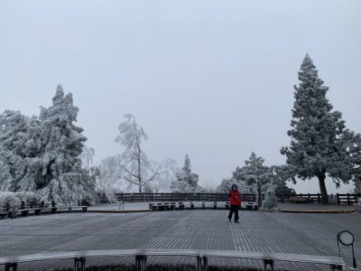太平山喜迎低溫霧凇 銀白美景7